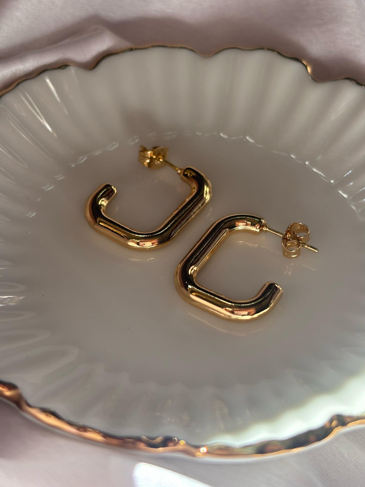 Brigitte Hoops