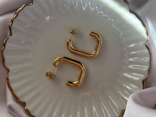 Brigitte Hoops